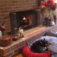 Home Is Where the Hearth Is