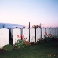 Shot At Dawn: In Flanders fields the poppies blow